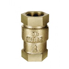 GM NRV Steam Check Valve/Non Return Valve Vertical Lift Screwed Forged SS Working Part Heavy (WJ-Neta)